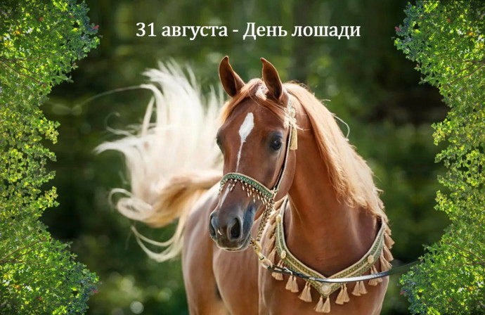 31 августа, в России отмечается День лошади &ndash; праздник самых благородных и преданных животных