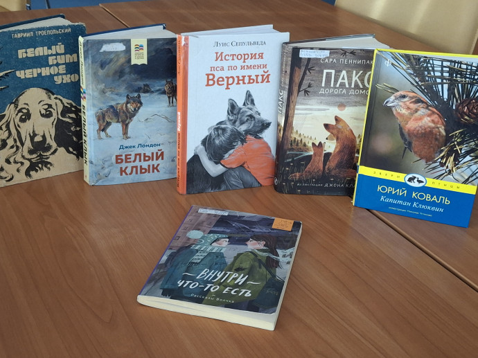 Час тихого чтения  &laquo;Знакомимся с книжными новинками&raquo;
