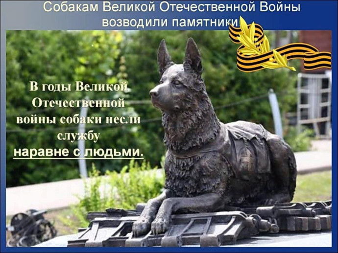 Экологический книгомаршрут «Животные тоже воевали» Экологический книгомаршрут «Животные тоже воевали»