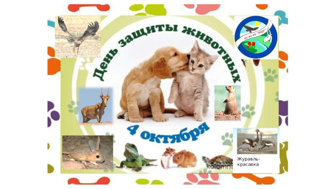 Час удивления &laquo;Земля - твой дом. Посмотри, кто живет в нем&raquo;